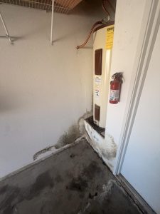Mold from Water leak