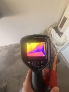 Mold test result from water leak