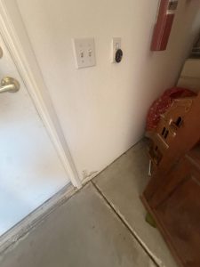 Mold on Drywall
