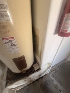 Mold from water heater leak
